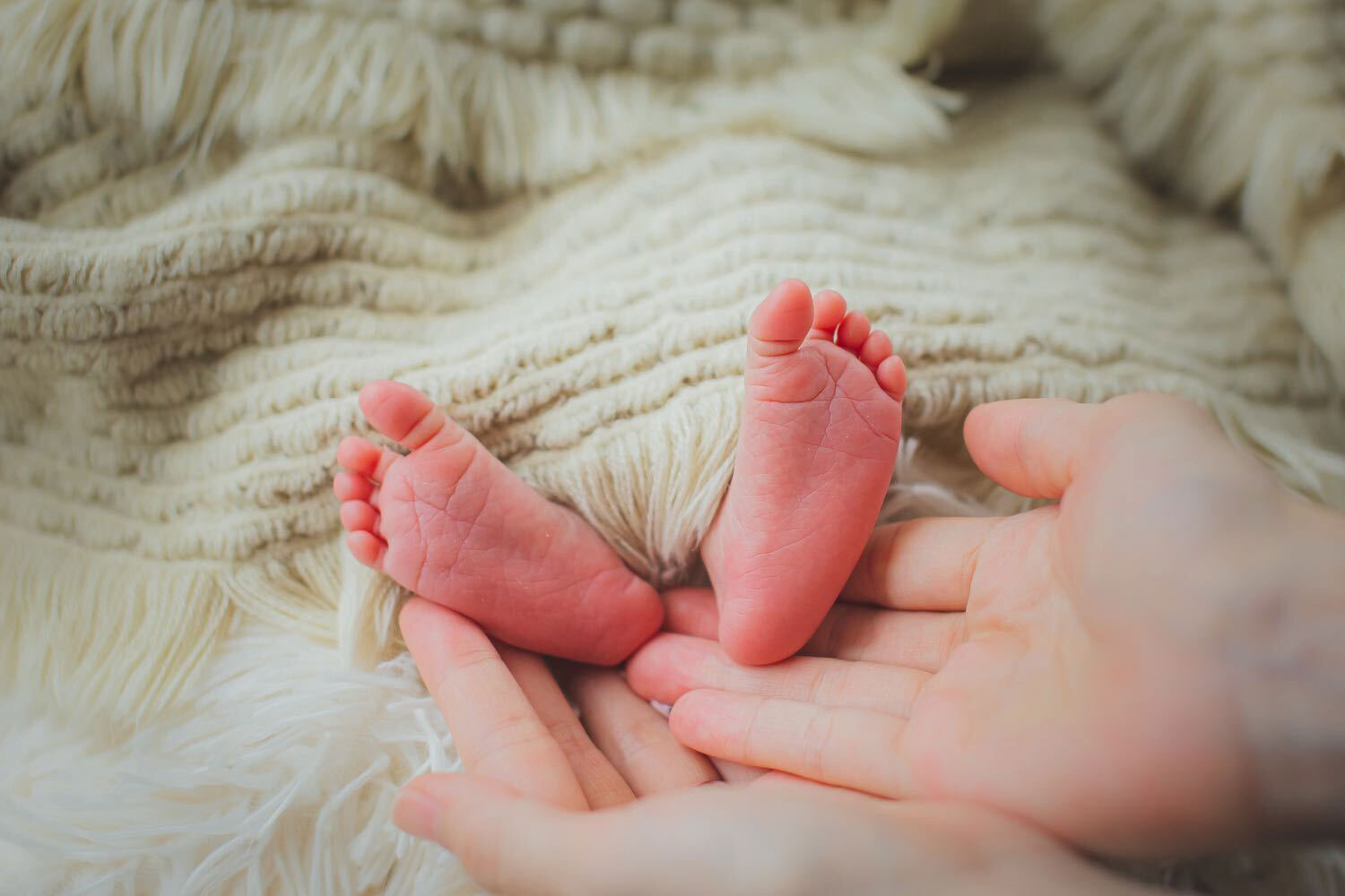 マタニティフード画像2